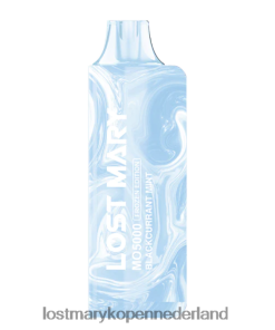 LOST MARY Vape Nederland - 4V8PNV12 zwarte bessen munt LOST MARY MO5000 wegwerpbaar