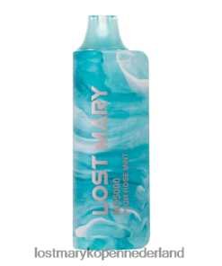 LOST MARY Vapes Nederland - 4V8PNV58 pruim roos munt LOST MARY MO5000 wegwerpbaar