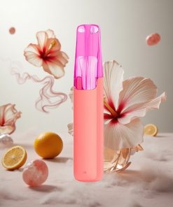 Snowplus Dash 4000 Puffs Hibiscus IJSTHEE Wegwerpapparaat Ceramic Atomizer Netherlands vape wholesale