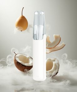 Snowplus Dash 4000 Puffs Kokoswater Disposable Ceramic Atomizer Netherlands vape wholesale