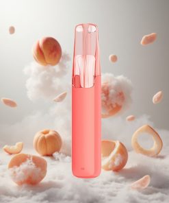 Snowplus Dash 4000 Puffs Perziken IJs Keramische Atomizer Netherlands vape wholesale