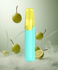 Snowplus Dash 4000 Puffs Wegwerpapparaat Groene Druif Ceramische Atomizer Netherlands vape wholesale