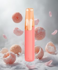 Snowplus Dash 4000 Puffs Wegwerpapparaat Lychee IJs & Netherlands vape wholesale