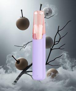 Snowplus Dash 4000 Puffs Zwarte Draak IJs Wegwerpapparaat Ceramische Atomizer Netherlands vape wholesale