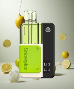 Snowplus Swift 5000 Puffs Citroen Limoen Dual Mesh Netherlands vape wholesale
