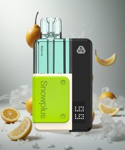 Snowplus Swift 5000 Puffs Mojito IJs Prefilled Pod Kit 1000 mAh Batterij Nederland vape wholesale