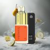 Snowplus Swift 5000 Puffs Zwarte Citroen Ice Dual Mesh 1000 mAh Netherlands vape wholesale