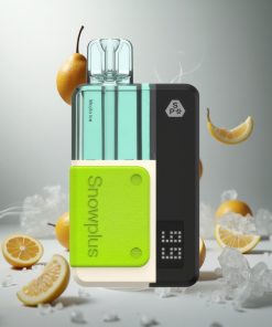 Snowplus Swift Pod Kit 15000 Puffs Mojito IJs Dual Mesh & 1000 mAh Batterij Netherlands vape wholesale