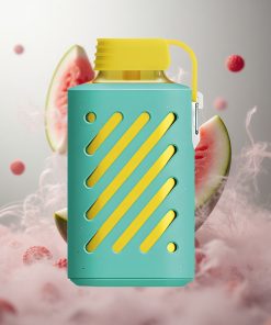 VOZOL GEAR 10000 Wegwerp Vape Framboos Watermeloen 10000 Puff 20 ml E-liquid Netherlands vape wholesale