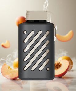 VOZOL GEAR 10000 Wegwerp Vape Perzik Mango Smoothie 65% PCR Materialen Netherlands vape wholesale