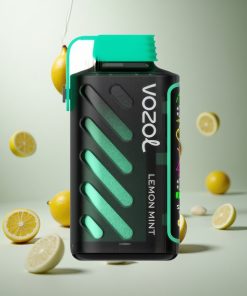 VOZOL Gear Power 20000 Puffs Citroen Munt Dual Mesh Coil Netherlands vape wholesale