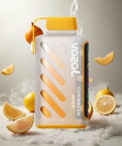 VOZOL Gear Power 20000 Puffs Wegwerp Vape Caribisch Sap met S.i.L.C. Tech en Dual Mesh Coil Netherlands vape wholesale