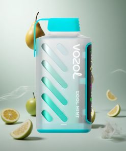 VOZOL Gear Power 20000 Puffs Wegwerp Vape Koel Munt met Dual Mesh Coil en Full Screen Display Netherlands vape wholesale