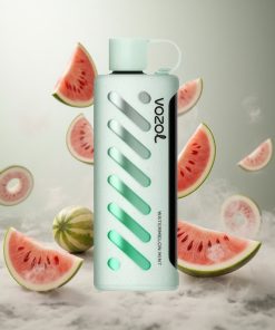 VOZOL Gear Shisha 25000 Puffs Watermeloen Munt Dual Mesh Dubbele modi Netherlands vape wholesale