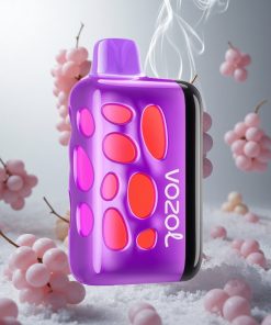 VOZOL RAVE 40000 Wegwerp Vape Druiven IJs met 270 graden Vibrant Glow Design & Beat-Synced Party Mode Netherlands vape wholesale
