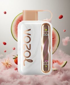 VOZOL STAR 40000 Puffs Aardbei Watermeloen Wegwerp Vape 1000mAh Batterij Type-C Oplaadpoort Netherlands vape wholesale