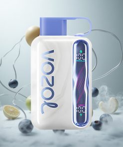 VOZOL STAR 40000 Puffs Blauwe Bes Munt Wegwerp Vape 1000mAh Batterij Type-C Oplaadpoort Netherlands vape wholesale