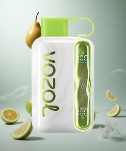 VOZOL STAR 40000 Puffs Verfrissende Munt Wegwerp Vape 1000mAh Type-C Netherlands vape wholesale