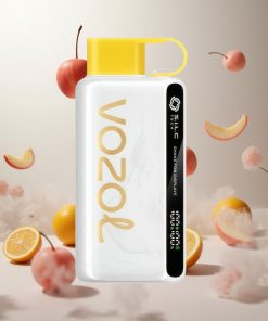 VOZOL STAR 9000/12000 Wegwerp Vape Kers Perzik Limonade Met 30% snellere oplading & Mondstukbescherming Netherlands vape wholesale
