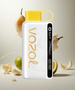 VOZOL STAR 9000/12000 Wegwerp Vape Kiwi Passievrucht Guave Met 650mAh Batterijcapaciteit Netherlands vape wholesale