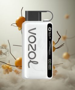VOZOL STAR 9000/12000 Wegwerp Vape Tabak Met 650mAh Batterijcapaciteit En Tot 9000/12000 Trekjes Netherlands vape wholesale