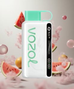 VOZOL STAR 9000/12000 Wegwerp Vape Watermeloen Bubble Gum Met 650mAh Batterijcapaciteit Netherlands vape wholesale