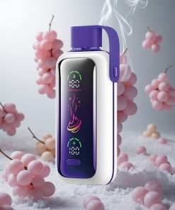 VOZOL Star 20000 Puffs Druiven IJs Wegwerp Vape met 2.2" HD spiegelscherm Netherlands vape wholesale