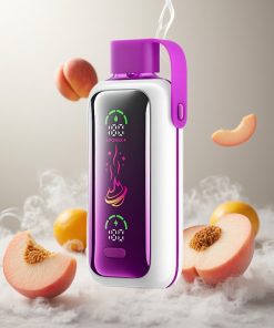 VOZOL Star 20000 Puffs Perzik Ijs Wegwerp Vape met 2.2" HD spiegelscherm en Dual mesh Netherlands vape wholesale