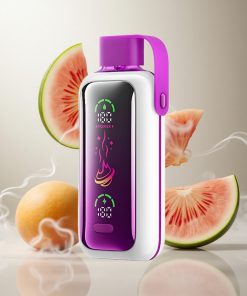 VOZOL Star 20000 Puffs Perzik Mango Watermeloen met 2.2" HD spiegelscherm Netherlands vape wholesale