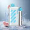 VOZOL VISTA 40000 Puffs Wegwerp Vape Blauwe Framboos Ijs met 1000mAh Snellaad Batterij Netherlands vape wholesale