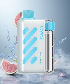VOZOL VISTA 40000 Puffs Wegwerp Vape Blauwe Framboos Ijs met 1000mAh Snellaad Batterij Netherlands vape wholesale