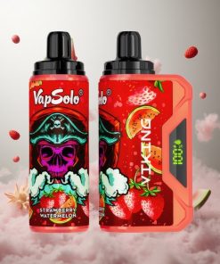 VapSolo VIKING 12000 Puffs Aardbei Watermeloen Wegwerp Vape met 22ml E-Liquid & Type-C Opladen Netherlands vape wholesale