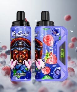 VapSolo VIKING 12000 Puffs Wegwerp Vape Blauwe Bes Framboos met 22ml E-Liquid & Type-C opladen Netherlands vape wholesale