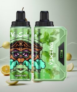 VapSolo VIKING 12000 Puffs Wegwerp Vape Verse Munt 22ml e-vloeistof Netherlands vape wholesale