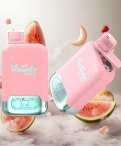 Vapsolo Twins 20000 Puffs Aardbei IJs & Mango Perzik Watermeloen 40 ml E-Liquid Nederland vape wholesale
