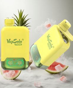 Vapsolo Twins 20000 Puffs Ananas Kokos & Watermeloen Ijs 40ml Nederland vape wholesale