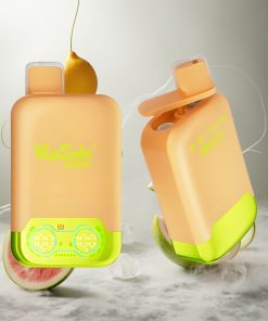 Vapsolo Twins 20000 Puffs Citroen Limoen & Watermeloen IJs Wegwerp Vape 40 ml Nederland vape wholesale