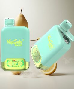Vapsolo Twins 20000 Puffs Drievoudige Meloen & Ananas Kokos 40ml E-Liquid Nederland vape wholesale