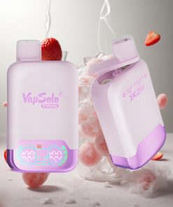 Vapsolo Twins 20000 Puffs Druiven IJs & Aardbei Kiwi 40 ml Nederland vape wholesale